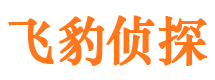 河池市婚外情调查